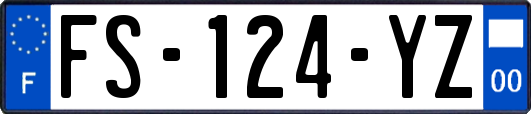 FS-124-YZ