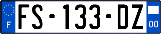 FS-133-DZ