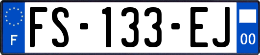 FS-133-EJ