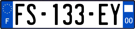 FS-133-EY