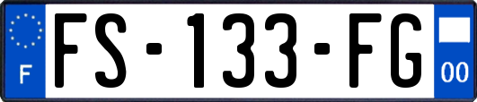 FS-133-FG