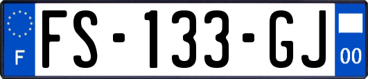 FS-133-GJ