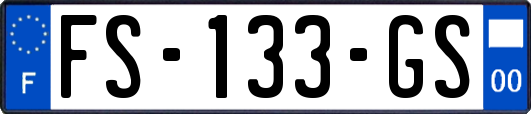 FS-133-GS