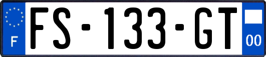 FS-133-GT
