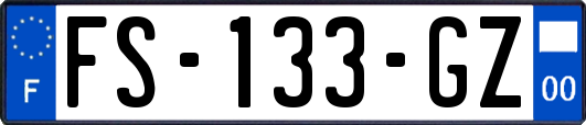 FS-133-GZ
