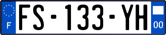 FS-133-YH