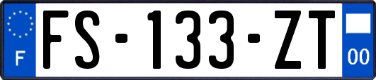 FS-133-ZT