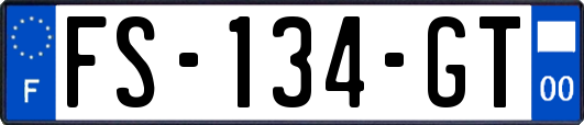 FS-134-GT