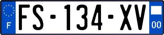 FS-134-XV