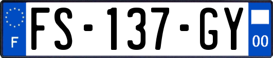 FS-137-GY