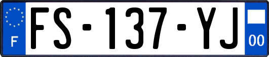 FS-137-YJ