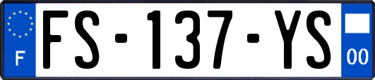 FS-137-YS