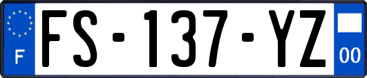 FS-137-YZ
