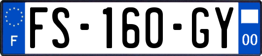 FS-160-GY