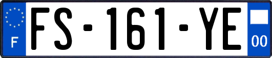 FS-161-YE
