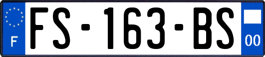 FS-163-BS
