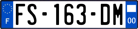 FS-163-DM