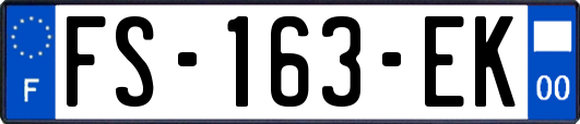 FS-163-EK