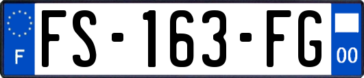 FS-163-FG
