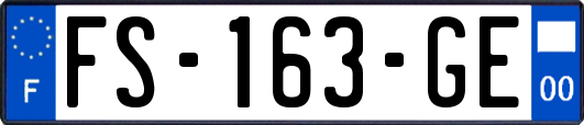 FS-163-GE
