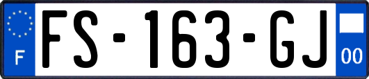 FS-163-GJ