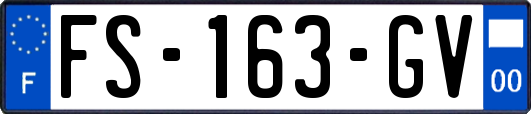 FS-163-GV