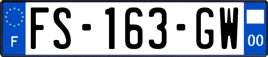 FS-163-GW
