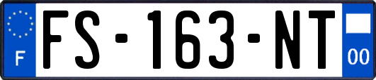 FS-163-NT