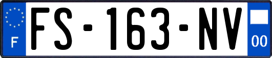 FS-163-NV