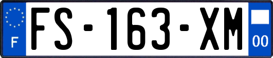 FS-163-XM