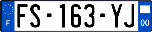 FS-163-YJ