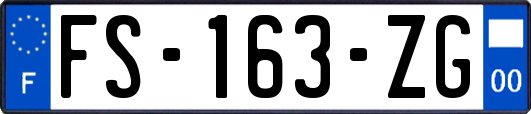 FS-163-ZG