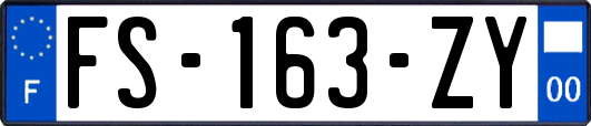 FS-163-ZY