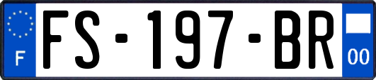 FS-197-BR