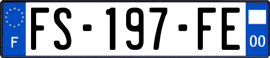 FS-197-FE