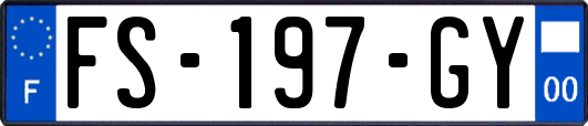 FS-197-GY