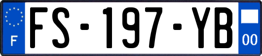 FS-197-YB