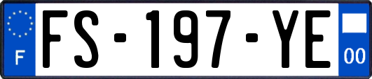 FS-197-YE