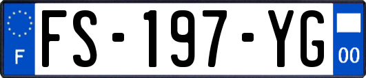 FS-197-YG