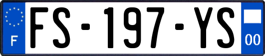 FS-197-YS