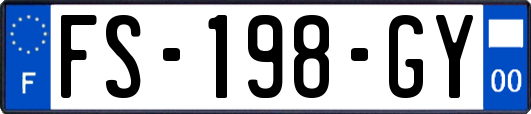 FS-198-GY