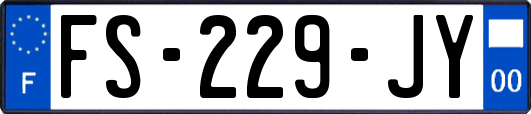 FS-229-JY