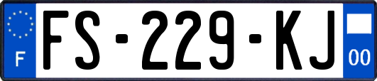 FS-229-KJ