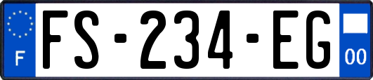 FS-234-EG