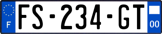 FS-234-GT