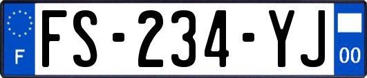 FS-234-YJ