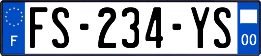 FS-234-YS