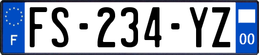 FS-234-YZ