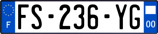 FS-236-YG