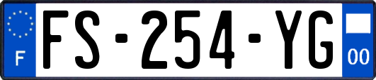 FS-254-YG